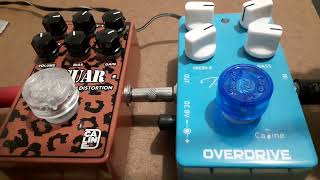 Caline Jaguar Classic High Gain Distortion  Caline Pure Sky Overdrive [upl. by Eleanor]