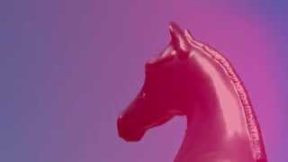 Breyer Horse Music Video Not On Drugs [upl. by Khalin]