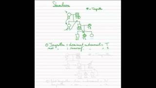 Erfelijkheid  Stamboom 13 dominant recessief autosomaal [upl. by Aihsinat777]