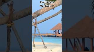 Reethi Faru Resort Maldives is one of the best destination and should visit at least once maldives [upl. by Jacynth]