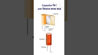 Capacitor কি  কিভাবে কাজ করে shorts bangla [upl. by Eekram718]