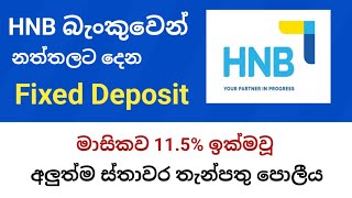 HNB Bank fixed deposit interest rate in sri lanka latest fd rates 2024 [upl. by Biamonte]