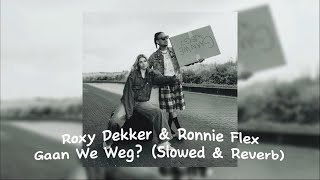 Roxy Dekker amp Ronnie Flex  Gaan We Weg Slowed amp Reverb [upl. by Lamonica604]