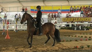 Singularidades de la Chalanería como Deporte Autóctono Colombiano  TvAgro por Juan Gonzalo Angel [upl. by Auhesoj]