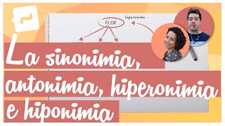 La sinonimia antonimia hiperonimia e hiponimia [upl. by Enirhtak]