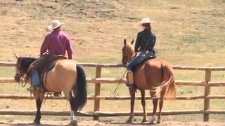 Teach Your Horse to Go Sideways Under Saddle with Pat Parelli [upl. by Kraska]