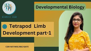 Tetrapod Limb Development part 1Developmental biologyBiomics HUBCSIR NET [upl. by Cowley3]