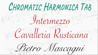 Intermezzo from Cavalleria Rusticana by Pietro Mascagni  Chromatic Harmonica Tab No 26 [upl. by Eanwahs]