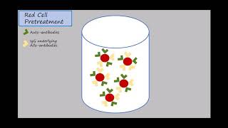 Haemagglutination test [upl. by Zinnes]