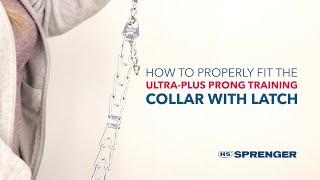 How to Get the Proper Fit Herm Sprenger UltraPlus Prong Dog Training Collar with Latch [upl. by Barthold876]