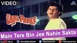 Main Tere Bin Jee Nahin Sakta Laal Paree [upl. by Luna419]