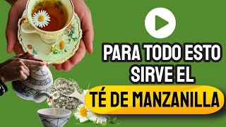 🌼Todos Los Beneficios Del Te De Manzanilla ☕ La Manzanilla Para Que Sirve [upl. by Sabine]