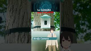 📸 La CAMARA para PAJAROS Birdfy Camera tecnologia dispositivos shorts [upl. by Priestley]