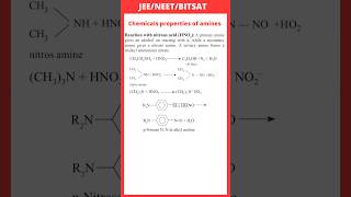 Reaction with nitrous acid HNO2  Chemical Properties of Amines  JEE  NEET  BITSAT [upl. by Hedva]