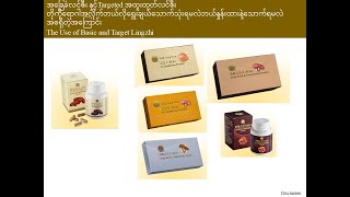 Shuang Hor Product  The Use of Basic and Target Lingzhi Myanmar Language [upl. by Wadesworth]