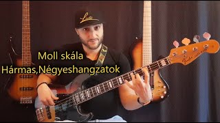 Moll Skála hármas négyeshangzatok basszusgitáron Lisztes László Online Basszusgitár iskola 58 rész [upl. by Eltotsira]