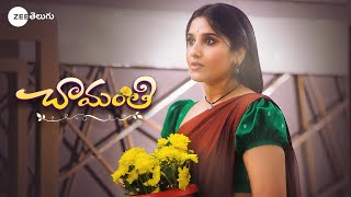 Chamanthi Launch Promo  Meghna Lokesh as Chamanthi  Brand New Serial  Coming Soon  Zee Telugu [upl. by Anivle]