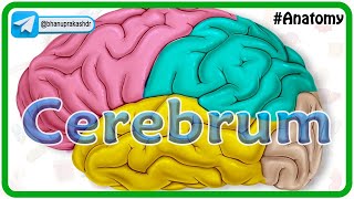 Cerebrum Anatomy Animation  Gyri and Sulci Surfaces Functional areas of cerebral Hemisphere [upl. by Fanechka]