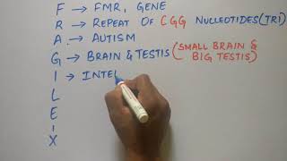 MEDICAL MNEMONIC POCKET FRAGILE X SYNDROME [upl. by Bozuwa]