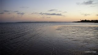 Visiting Yirrkala in Arnhem Land  Behind the News [upl. by Dripps]