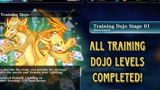 Evertale Training Dojo All Level 1  Level 12 and Level 13 Evertale Guide amp Tips [upl. by Anthe969]