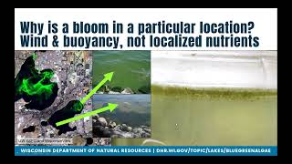 Algal Bloom Action Team December Webinar Monitoring Cyanobacterial Blooms and Their Public Impacts [upl. by Mailliwnhoj]