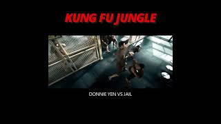 Epic Duel Donnie Yen Single to Annihilate Samurai  kungfu movie action shorts short [upl. by Iniretake]