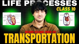 Transportation Class 10 Life Processes detailed and simple explanation board exams 202425 [upl. by Martinelli158]