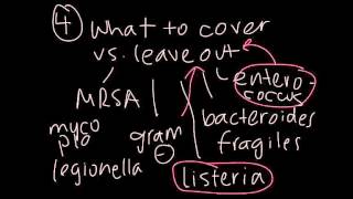 4 Basic Steps in Choosing Antibiotics [upl. by Tychon]