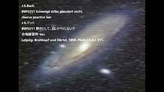 JSBach BWV211 Schweigt stille plaudert nicht chorus practice ten JSバッハ BWV211 静かにして 合唱練習用・ten [upl. by Marlee524]