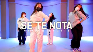 Lele Pons Guaynaa  Se Te Nota  SUNJ choreography [upl. by Orhtej120]