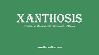 xanthosis How to pronounce xanthosis with Phonetic and Examples [upl. by Barimah]