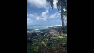 Hilo Hawaii waiolena beach park hawaii beachparks waiolena travel nature beautiful workflow [upl. by Yalc542]