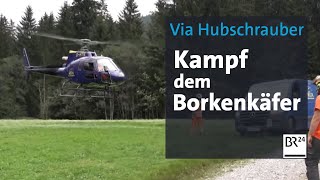 Mit dem Helikopter gegen den Borkenkäfer  Abendschau  BR24 [upl. by Boony]