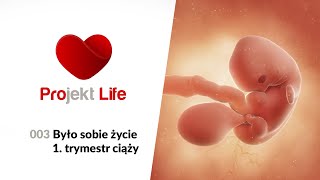 Projekt LIFE 003 Było sobie życie  1 trymestr ciąży [upl. by Monney]