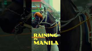 Heavy Rain Walk in Ermita Manila  ASMR Rain sounds for sleeping shorts horse manila rain [upl. by Roxane257]