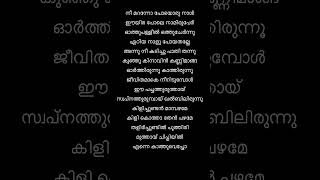 Onnamkili song lyricskilichundan mambazham malayalam song lyricsevergreenhits [upl. by Annaitsirhc]