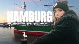 Hamburg IRL  Fischmarkt Sonnenaufgang Hafen [upl. by Vudimir]