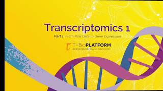 Transcriptomics 1 analyzing RNAseq data by running bioinformatics pipelines [upl. by Savage182]