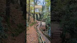 Groudle Glen Viaduct 🍂🇮🇲 shorts isleofman iom autumn nature groudleglen [upl. by Vashtee]