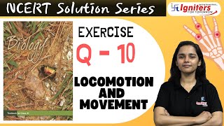 Exercise Q10  Locomotion and Movement  Class 11  NCERT Solution Series  BIOLOGY [upl. by Yeclehc638]