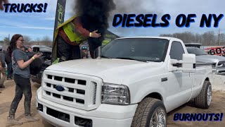 DIESELS OF NY 2024 BURNOUTS IDIOTS TRUCKS [upl. by Ahsiekit852]