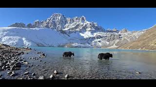 Gokyo Lakes are oligotrophic lakes in Nepals Sagarmatha National Park [upl. by Holcman]