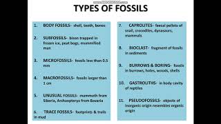 SIGNIFICANCE OF FOSSILS Part 1 [upl. by Nnairam]