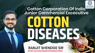 Cotton Diseases I Cotton Corporation Of India I Junior Commercial Excecutive Exam [upl. by Aynotak561]