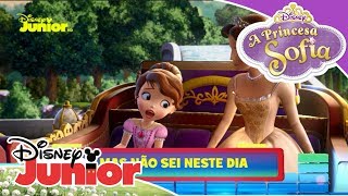 A Princesa Sofia  Disney Junior Music Party quotUm Dia Importante [upl. by Hamner]