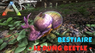 Ark Survival Evolved  FR  Bestiaire  Le Dung Beetle [upl. by Rolph]