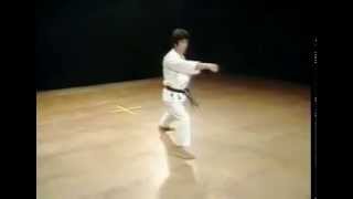 Gankaku  Shotokan SKIF  Hirokazu Kanazawa [upl. by Aveline]