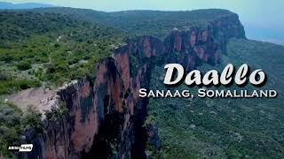 DAALLO MOUNTAIN  ERIGAVO SANAAG SOMALILAND  2022 [upl. by Anauqat810]