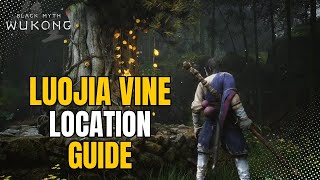 Luojia Vine Location  Upgrade Your Gourd  Chapter 3 Pagado Realms  Black Myth Wukong [upl. by Alice]